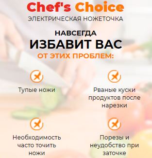 chef s choice 300